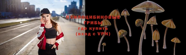 твердый Алексеевка