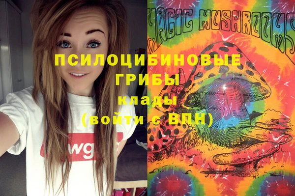 твердый Алексеевка