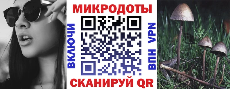 Галлюциногенные грибы прущие грибы Минусинск